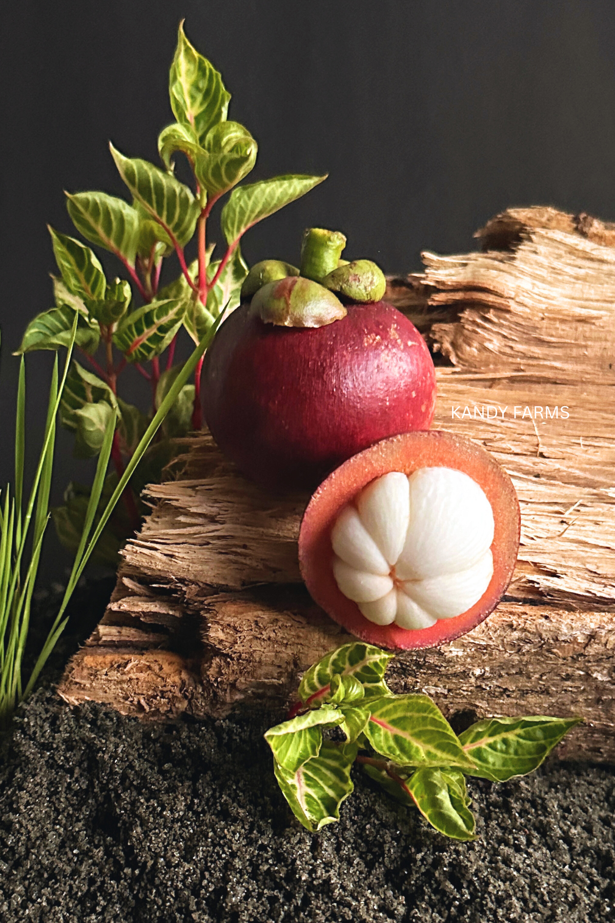 Mangosteen (organic) - Queen of fruits - 1 Kg