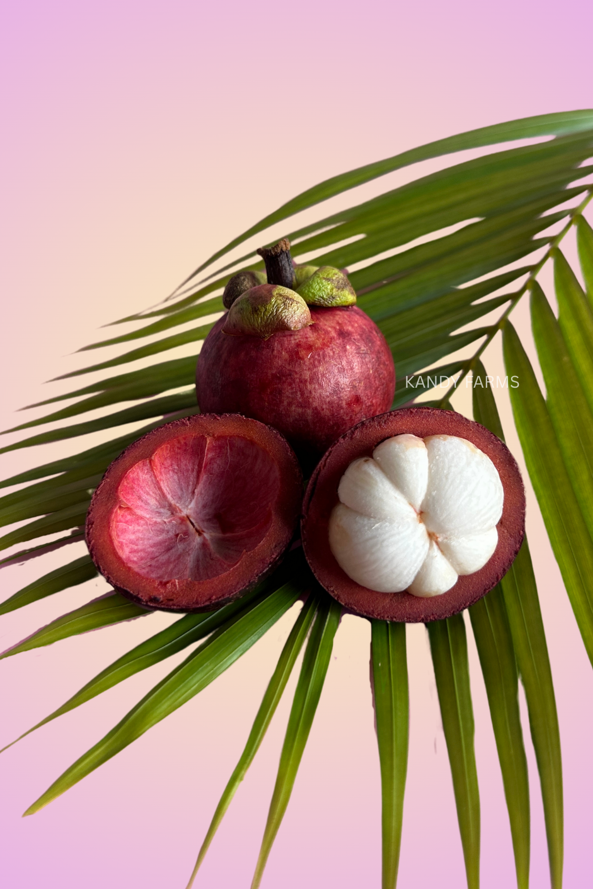 Mangosteen (organic) - Queen of fruits - 1/2 Kg