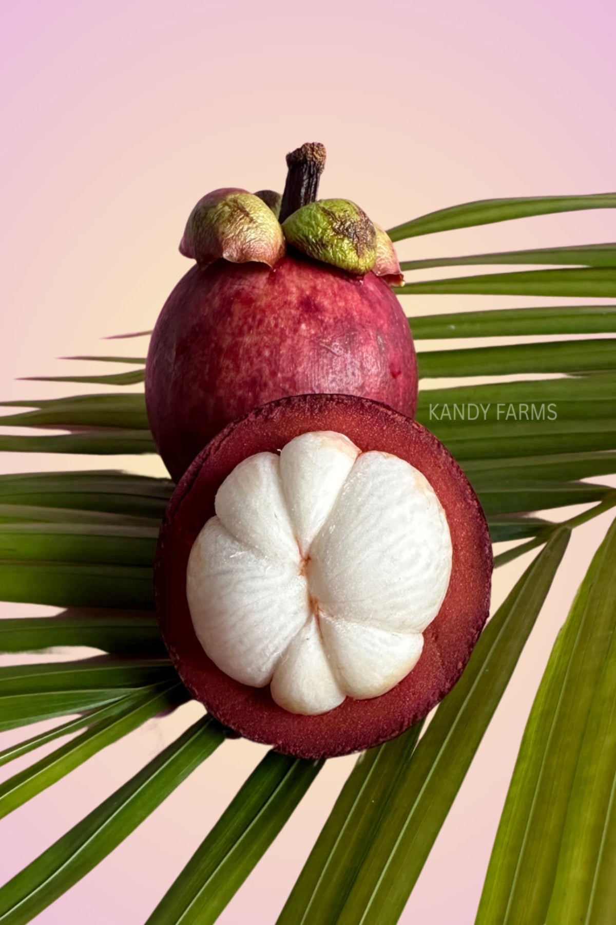 Mangosteen (organic) - Queen of fruits - 2 Kg