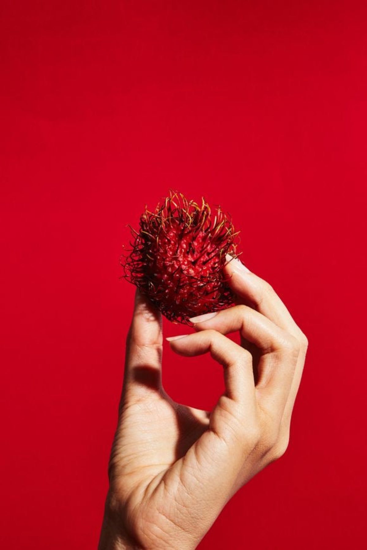 Rambutan (Organic) - The fruit of Gods - 1 Kg